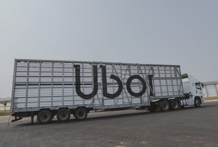 Uboi, da JBS, transporta mais de 5 milhões de cabeças de gado no Brasil com segurança e eficiência logística