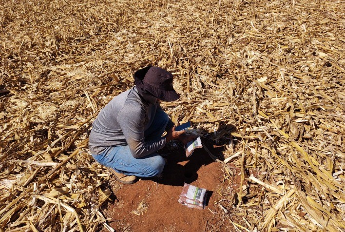 Brasil enfrenta déficit de 8 milhões de análises de solo por ano, alerta IBRA Megalab