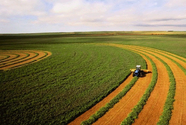 Preparo antecipado do solo é decisivo para o sucesso da soja semeada em novembro, alertam especialistas