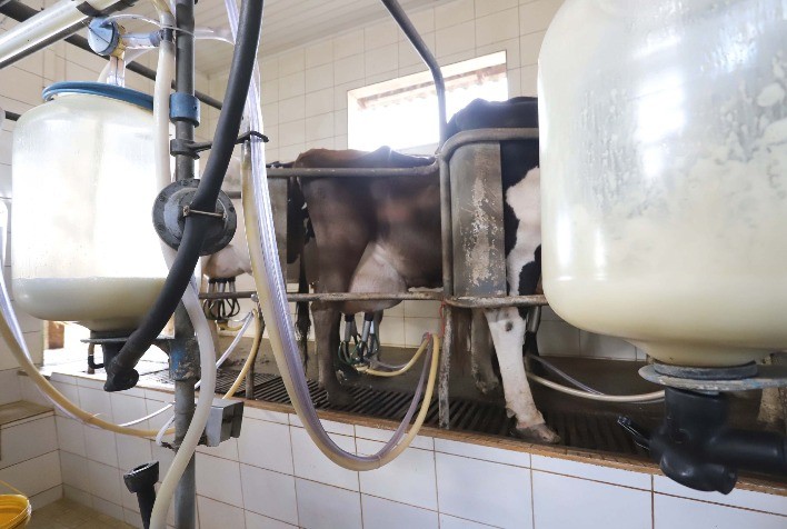 Nova lei proíbe reconstituição de leite em pó importado e reforça proteção à cadeia leiteira do Paraná