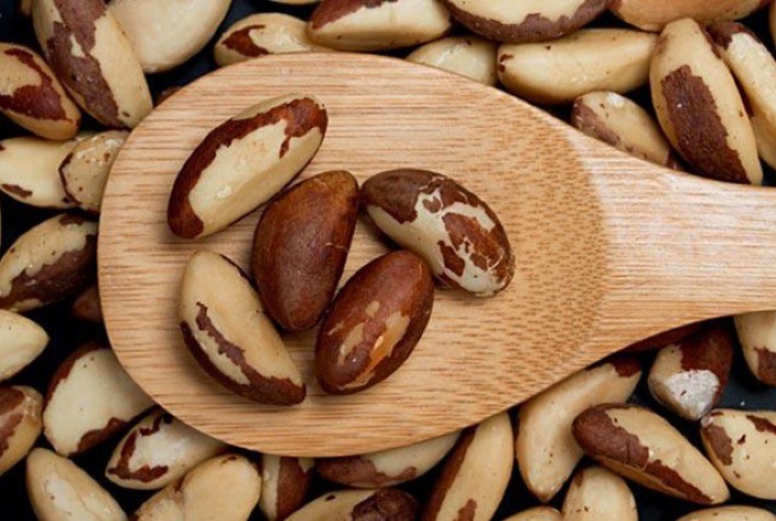 Brasil pode ampliar participação no mercado global de produtos sustentáveis da Amazônia, diz ApexBrasil