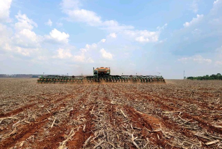 Plantio da soja 2025/26 no Paraná atinge 86% da área prevista, mas replantio eleva custos para produtores