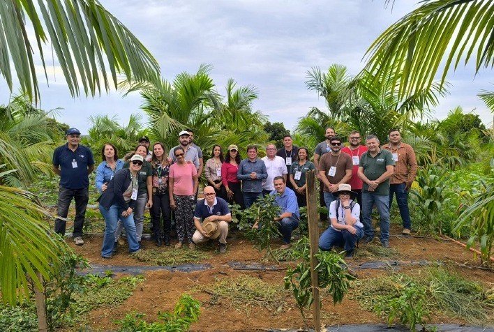 Açaí irrigado no Cerrado: pesquisa e capacitação impulsionam cultivo sustentável