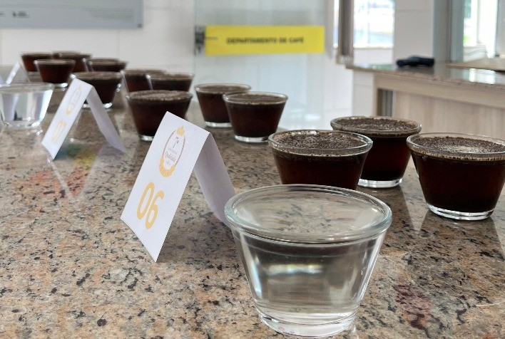 Safra 2025 surpreende: cafés da Coopercam se destacam pela qualidade e sustentabilidade