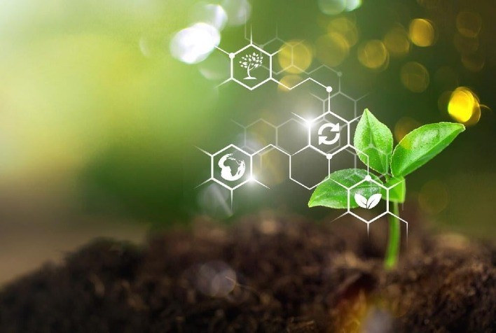 Biológicos e tecnologia digital impulsionam manejo sustentável na safra 2025/26