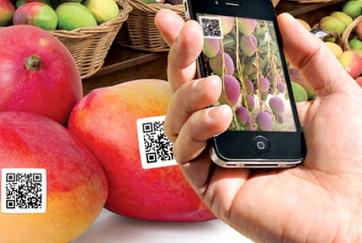 Empresas do agronegócio redefinem sucesso com foco em rastreabilidade, eficiência e adaptação regional