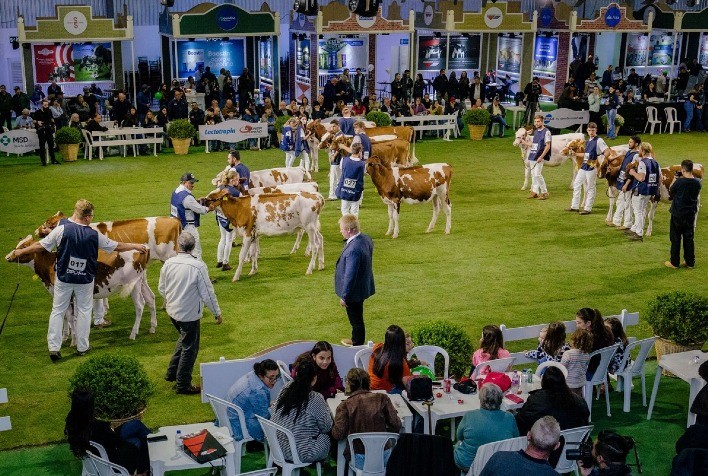 ExpoFrísia muda data para novembro a partir de 2026 e reforça calendário da pecuária leiteira