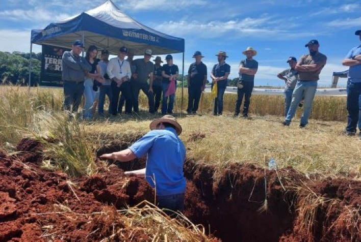 Dia de Campo em Jacutinga destaca novas variedades de trigo e reforça importância da sucessão familiar no campo