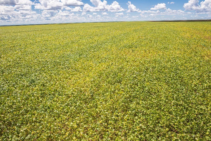 Governo Federal prorroga prazo para georreferenciamento de imóveis rurais até 2029