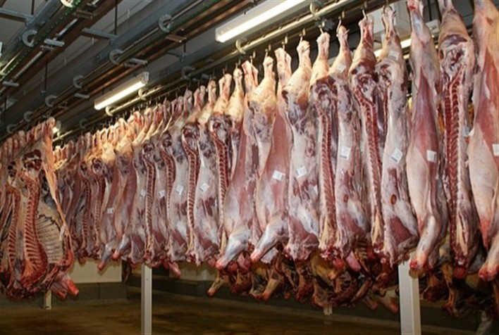 Inteligência artificial revoluciona a tomada de decisão no agronegócio da carne suína