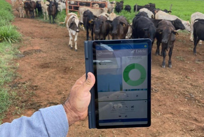 Tecnologia do aplicativo Esteio impulsiona produtividade e lucros em fazendas brasileiras