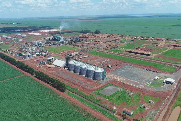 CerradinhoBio registra alta de 56,2% no EBIT no primeiro semestre da Safra 25/26