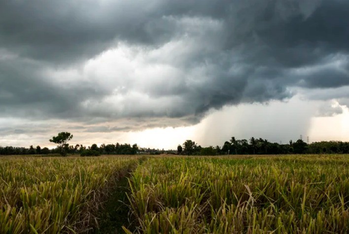NOAA mantém previsão de La Niña fraco até 2026 e projeta retorno à neutralidade no primeiro trimestre