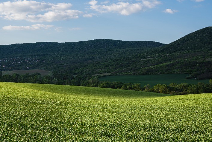 Votação da Lei Geral do Licenciamento Ambiental segue indefinida e preocupa setor do agronegócio
