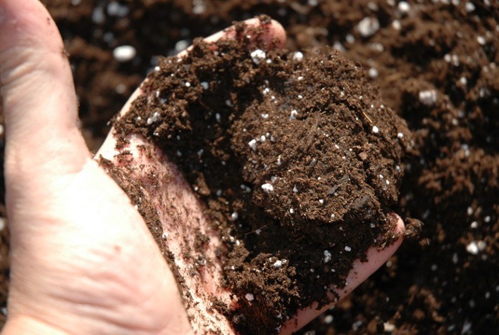 Exportações chinesas de fertilizantes MAP e DAP caem 23% e elevam pressão sobre o mercado global