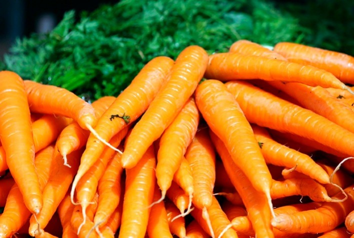 Queda nos Preços da Cenoura: Entenda por que a Oferta Alta Desvaloriza a Raiz em São Gotardo (MG)