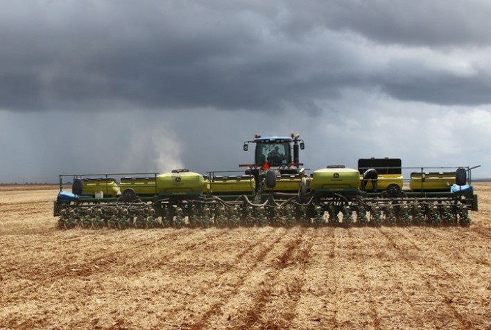 Chuvas Freiam Plantio: Soja 2025/26 em Mafra (SC) Atinge 70% da Área Prevista