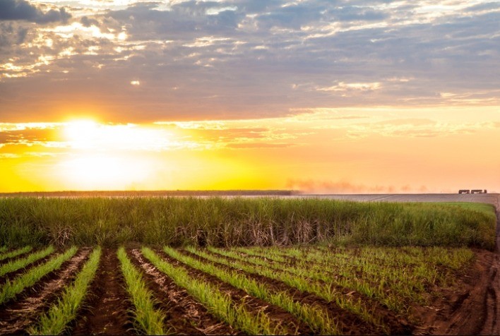 Agricultura de precisão impulsiona eficiência no uso da água com tecnologias adaptadas à irrigação