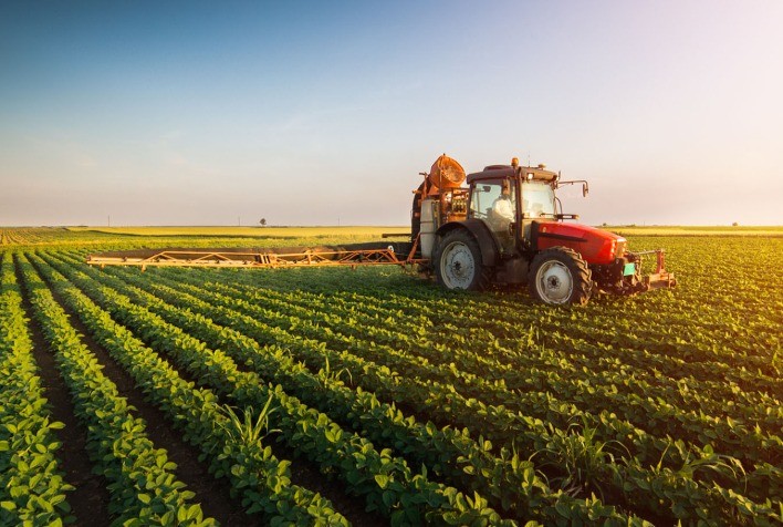 Agronegócio brasileiro mira 2025 com foco em segurança jurídica, crédito e sustentabilidade