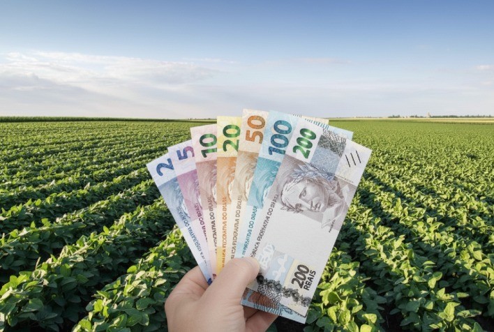 Produtores devem redobrar atenção na contratação de crédito rural para evitar juros abusivos e prejuízos financeiros