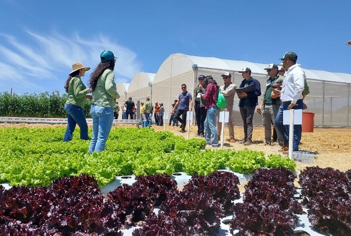 Tecnologia e inovação marcam Dia de Campo da East-West Seed em Bragança Paulista