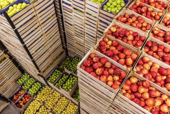 Redução de tarifas agrícolas nos EUA pode impulsionar exportações do Ceará, especialmente de manga e coco