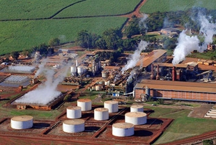 Jalles Machado encerra safra 2025/26 com aumento de área, mas queda na moagem de cana-de-açúcar