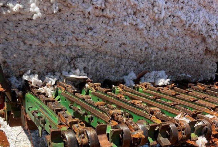 Bayer fortalece agricultura familiar no Norte de Minas com doação de caminhão transmódulo e tecnologias para algodão