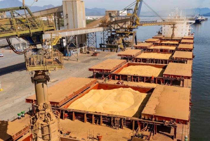 Soja lidera exportações no Paraná e impulsiona investimentos no Porto de Paranaguá