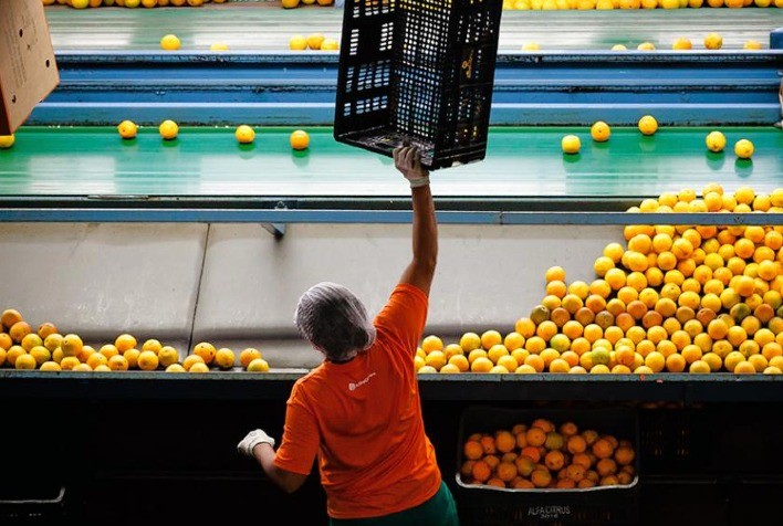 Alfa Citrus adota sistema de embalagens retornáveis e reduz custos logísticos no transporte de frutas