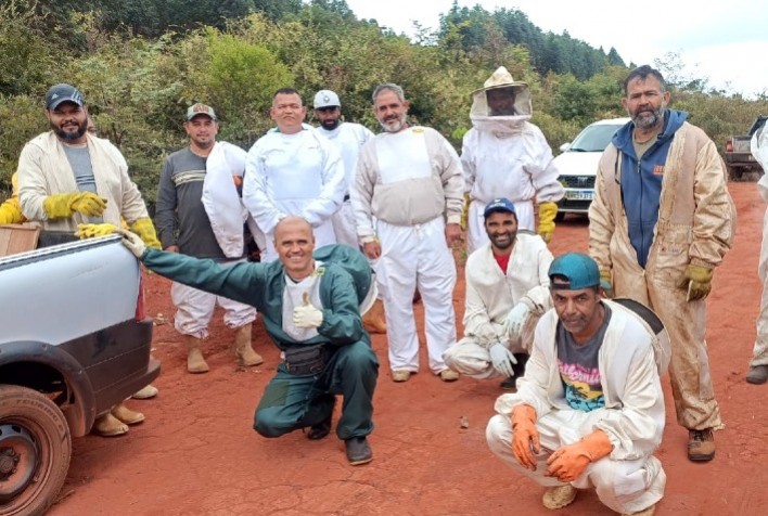 Apicultura impulsiona renda e sustentabilidade em Couto Magalhães de Minas