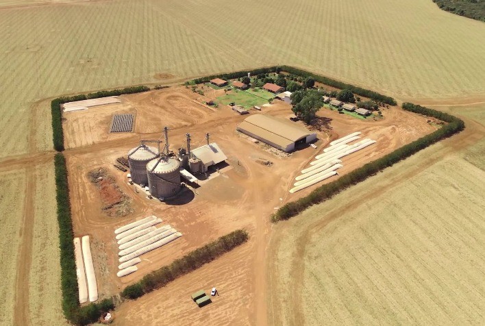 Produtor de Mato Grosso conquista recorde nacional ao colher 268,4 sacas de milho por hectare