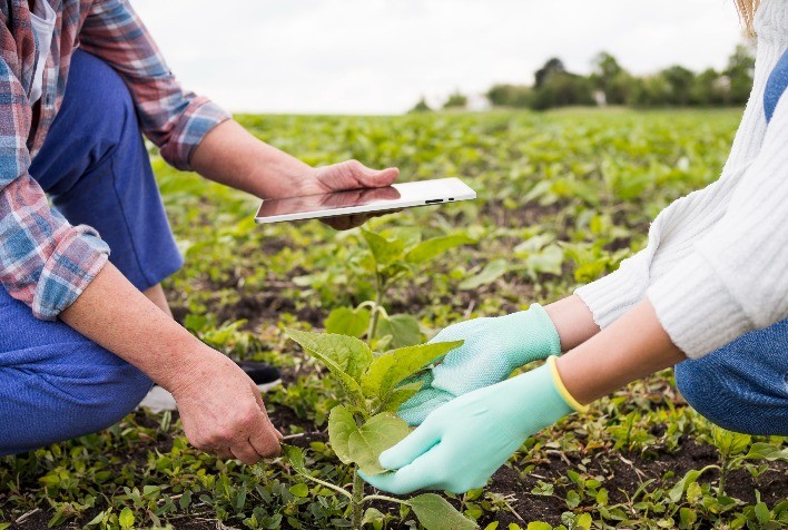 Tecnologia no agro em 2026: mecanização inteligente e agricultura regenerativa impulsionam nova era no campo