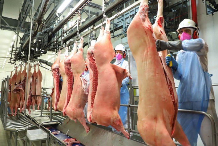 Carne suína tem leve valorização em novembro, mas exportações recuam; expectativa é de retomada em dezembro