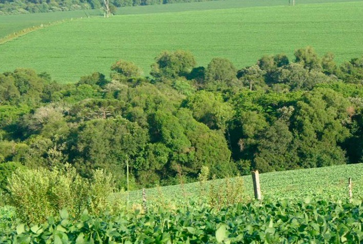 Faesc comemora derrubada de vetos à Lei de Licenciamento Ambiental e destaca avanço para o agronegócio