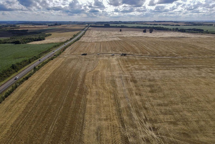 Paraná alcança safra recorde de 46,8 milhões de toneladas em 2024/25, com milho liderando a produção