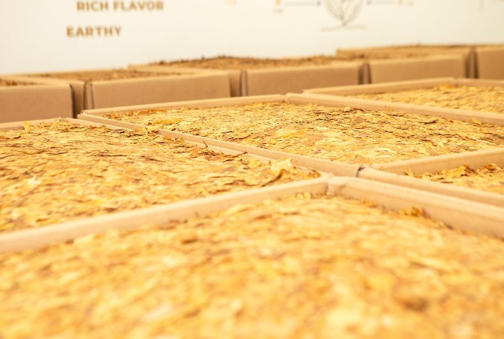 Câmara Setorial do Tabaco debate COP 11, exportações e desafios da safra 2025/26