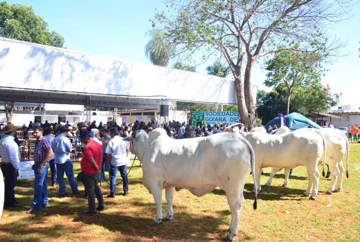 Agrodefesa abre cadastro para eventos agropecuários de 2026 em Goiás: prazo vai até 31 de dezembro de 2025