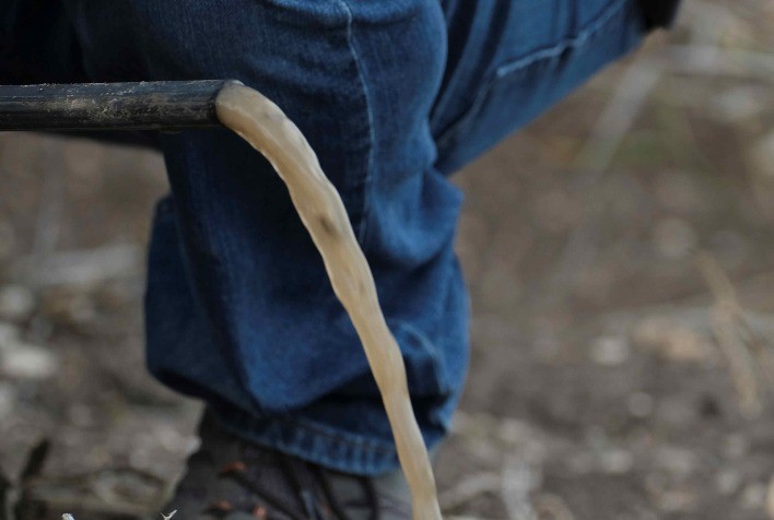 Irrigação por gotejamento: limpeza correta é essencial para manter produtividade e eficiência