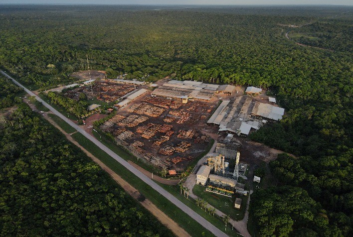 Concessões florestais reduzem desmatamento e impulsionam geração de renda na Amazônia, aponta estudo