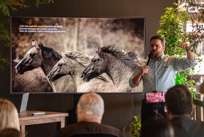 Cavalo Crioulo gera R$ 5,36 bilhões e emprega mais de 160 mil pessoas no Brasil