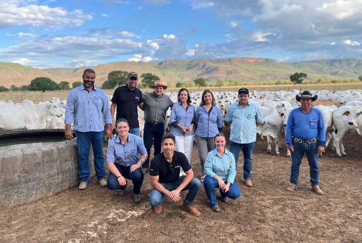 Friboi lança programa Fazenda Nota 10 e incentiva boas práticas na bovinocultura de corte
