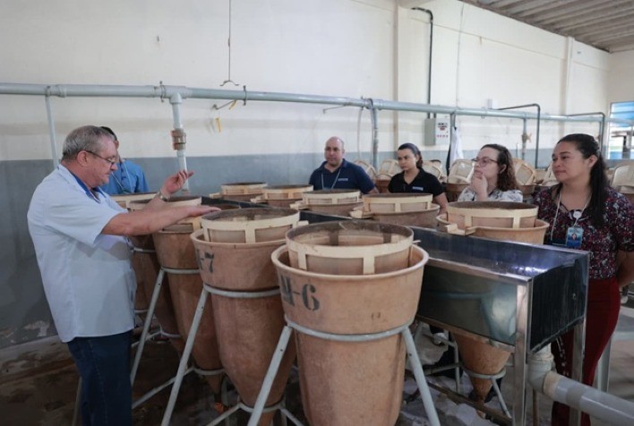Curso técnico fortalece produção e manejo de peixes nativos do rio São Francisco