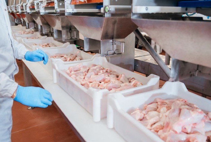 Demanda Interna Sustenta Recuperação dos Preços da Carne de Frango no Brasil