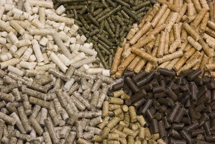 Produção de rações cresce 2% até setembro e Sindirações projeta 90 milhões de toneladas em 2025