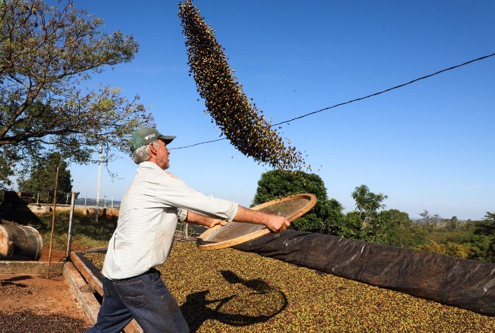 Café e soja lideram rentabilidade entre produtores paranaenses, aponta Deral