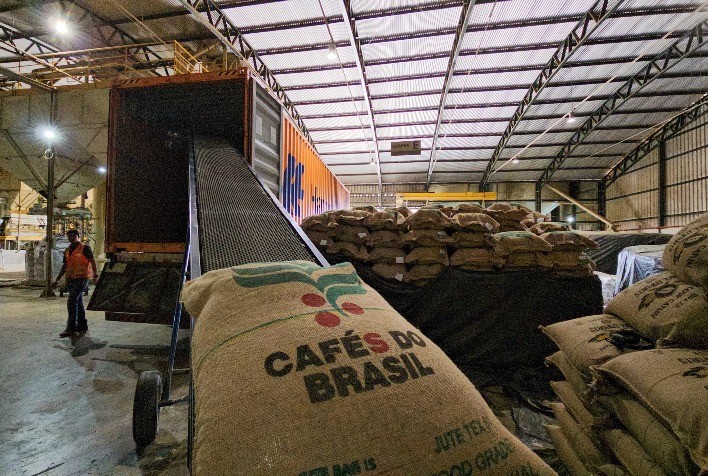 Exportações de café não torrado crescem em faturamento e preço médio, enquanto café torrado recua na 1ª semana de dezembro