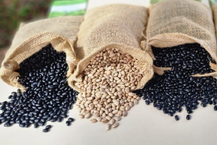 Mercado do feijão desacelera com seletividade na qualidade e baixa liquidez no fim do ano