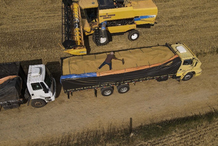 Paraná lidera crescimento nacional na estimativa de produção de grãos em novembro, aponta IBGE
