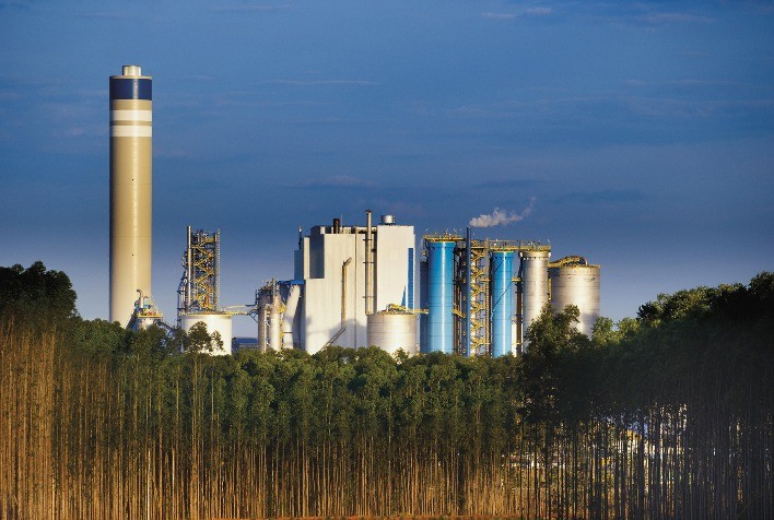Suzano projeta investimento de R$ 10,9 bilhões em 2026, com foco em manutenção e eficiência florestal